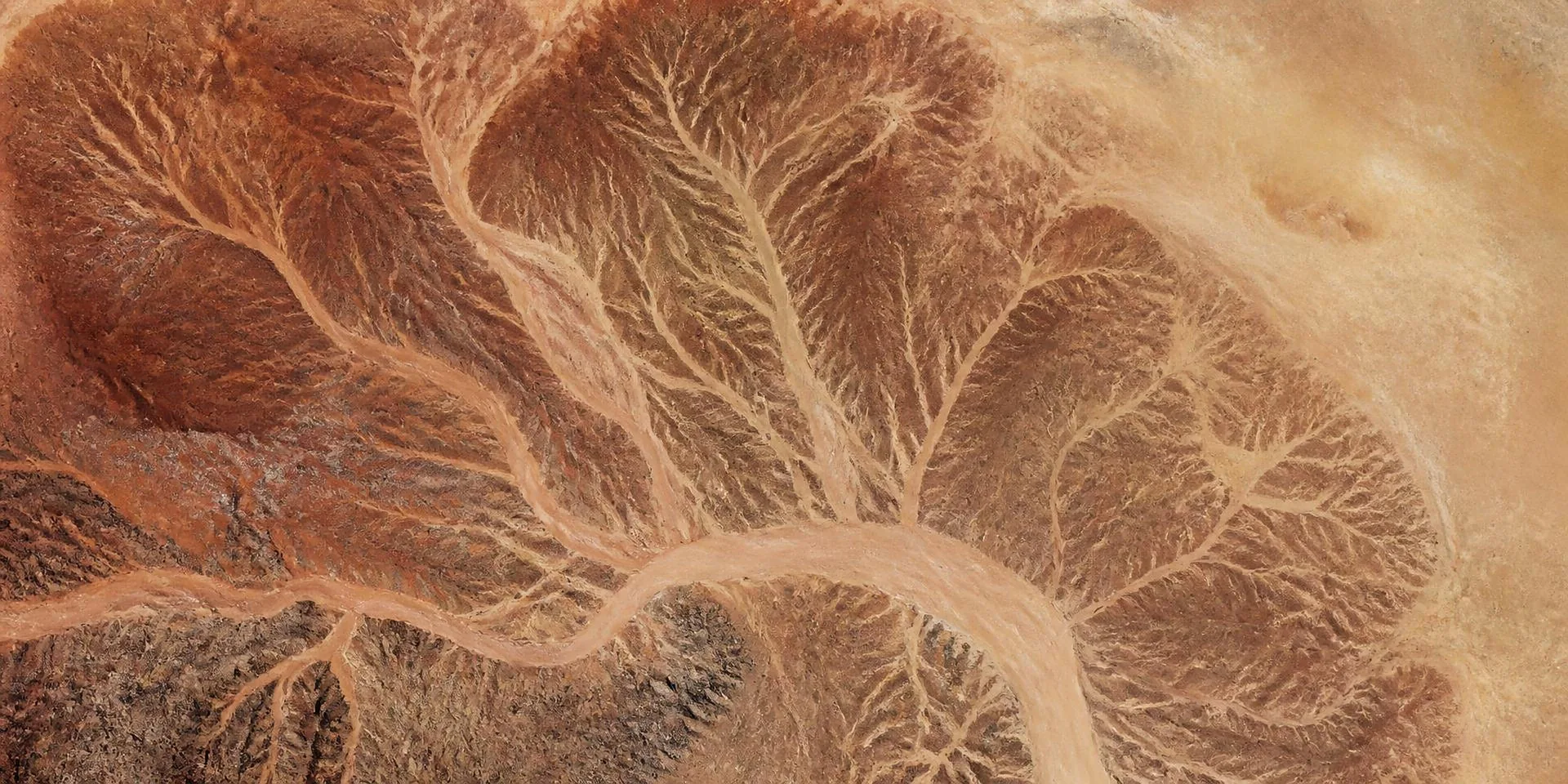 Aerial view of a dry river delta branching across arid desert terrain